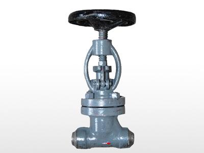 電站連續(xù)排污節(jié)流閥 電站連續(xù)排污節(jié)流閥